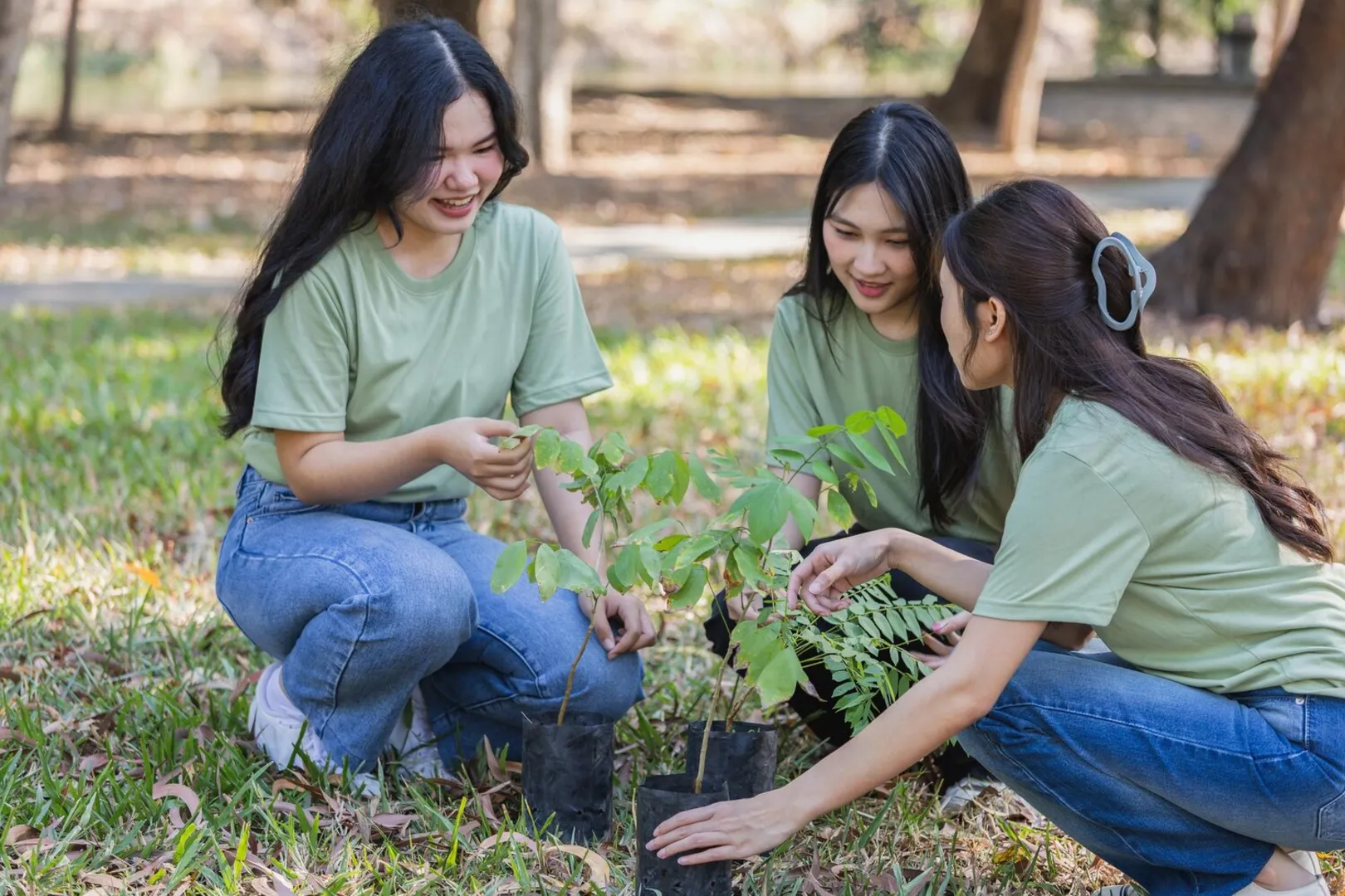 East Asian young women volunteers planting trees together in a park